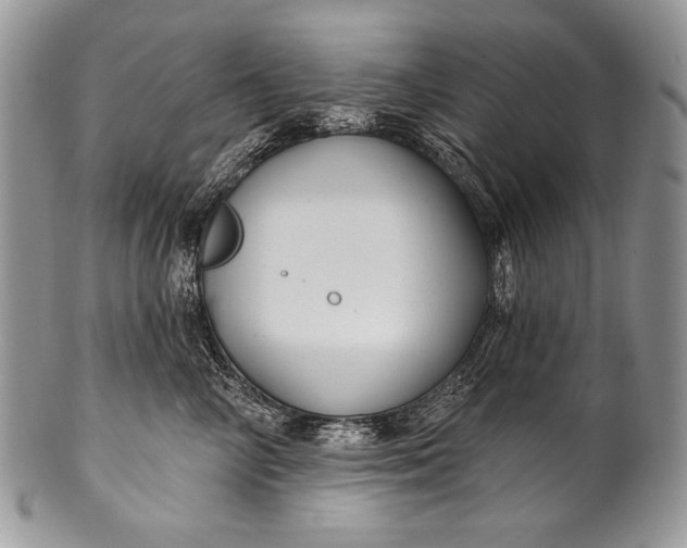 X0000100360714200806201605