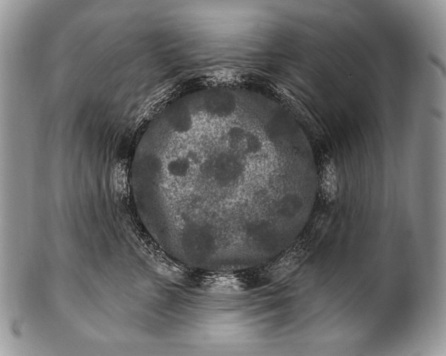 X0000100360715200806201605