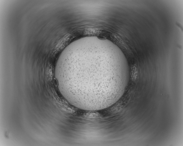 X0000100360716200806201604