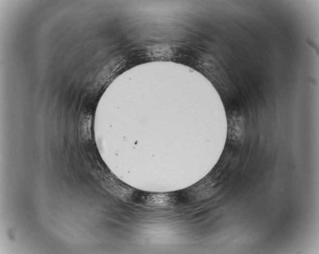 X0000100360717200806201604