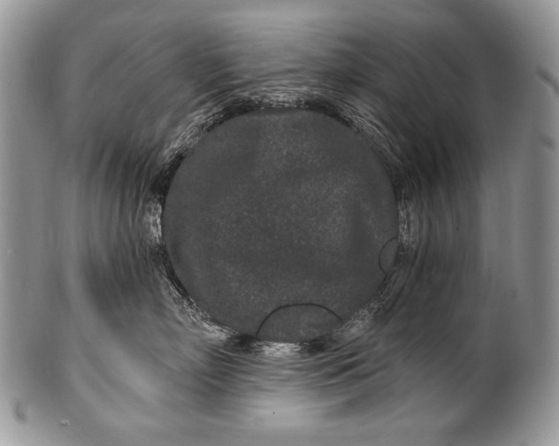 X0000100360718200806201604