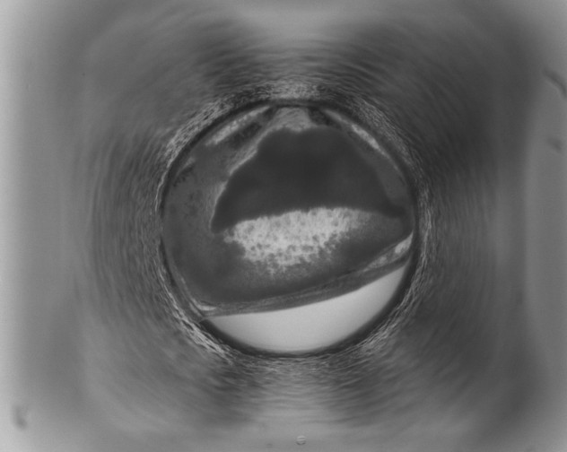 X0000100360721200806201604