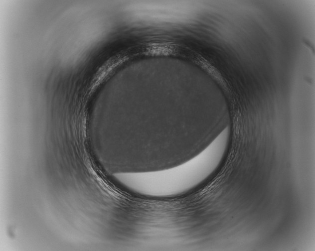 X0000100360722200806201604