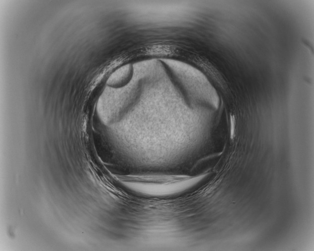 X0000100360723200806201604