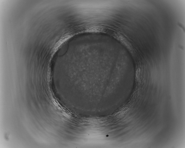 X0000100360724200806201604