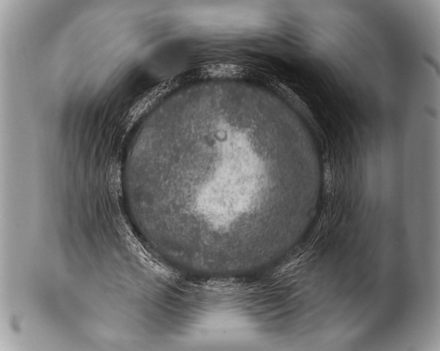 X0000100360725200806201604