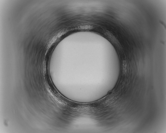 X0000100360726200806201604