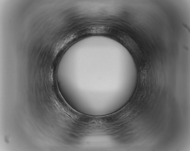 X0000100360727200806201604