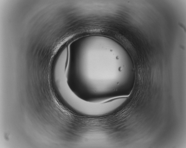 X0000100360728200806201604