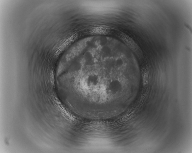 X0000100360729200806201604