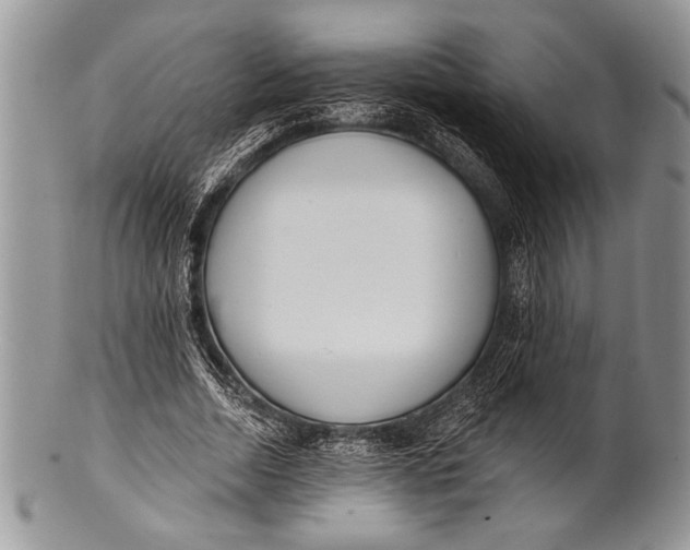 X0000100360730200806201604