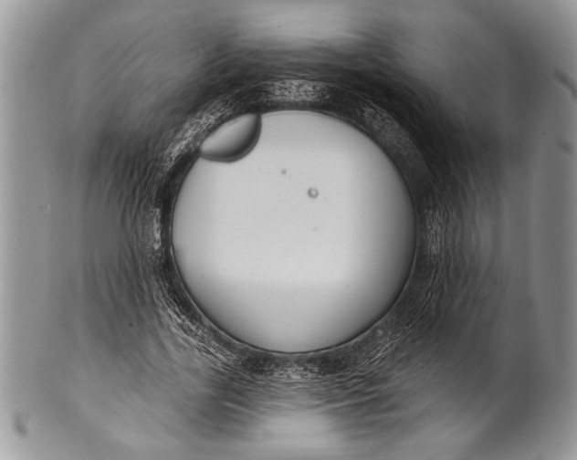 X0000100360731200806201604