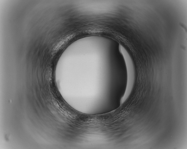 X0000100360732200806201604