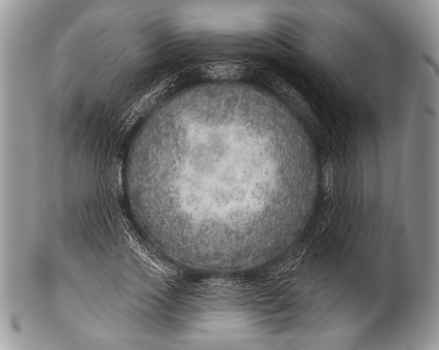 X0000100360733200806201604