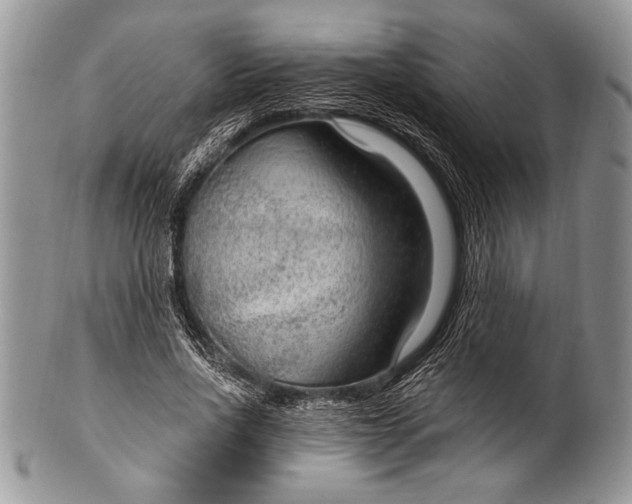 X0000100360734200806201604