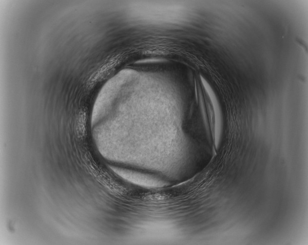 X0000100360735200806201604