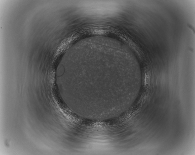 X0000100360736200806201604