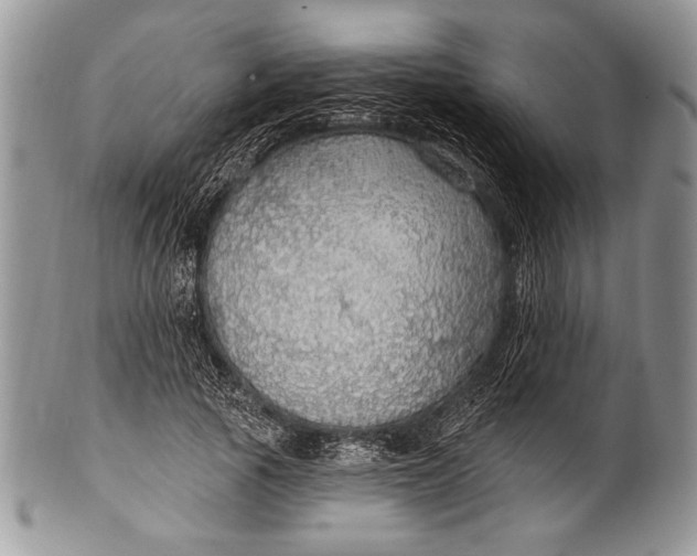 X0000100360737200806201604