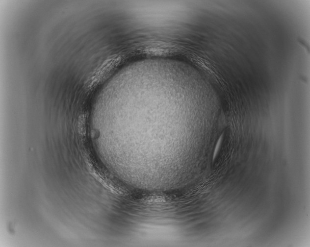 X0000100360738200806201604