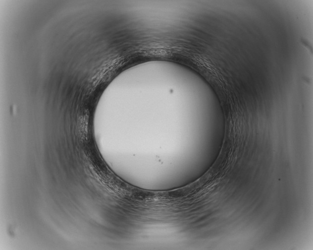 X0000100360739200806201604