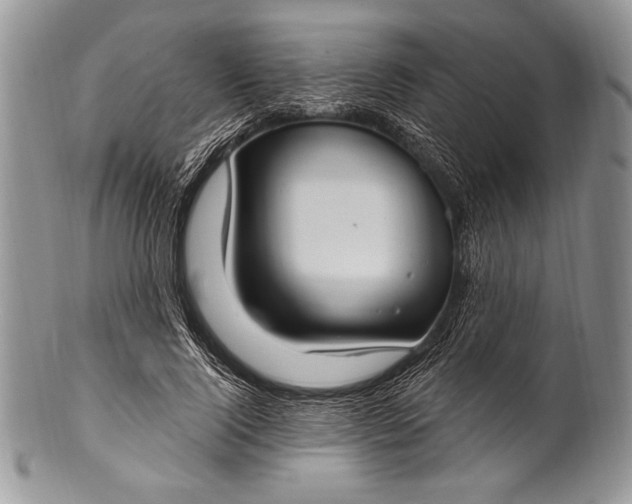 X0000100360740200806201604