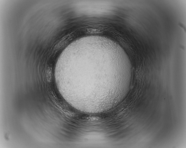 X0000100360741200806201604