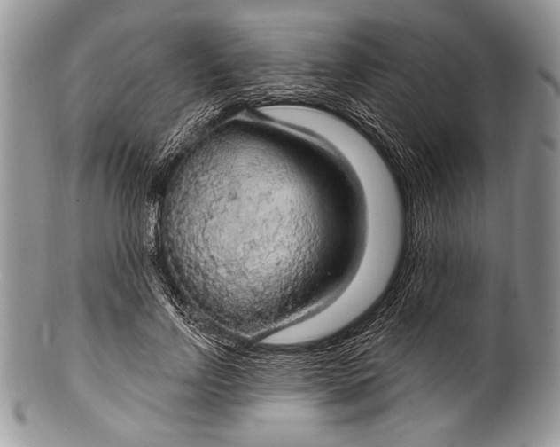 X0000100360742200806201604