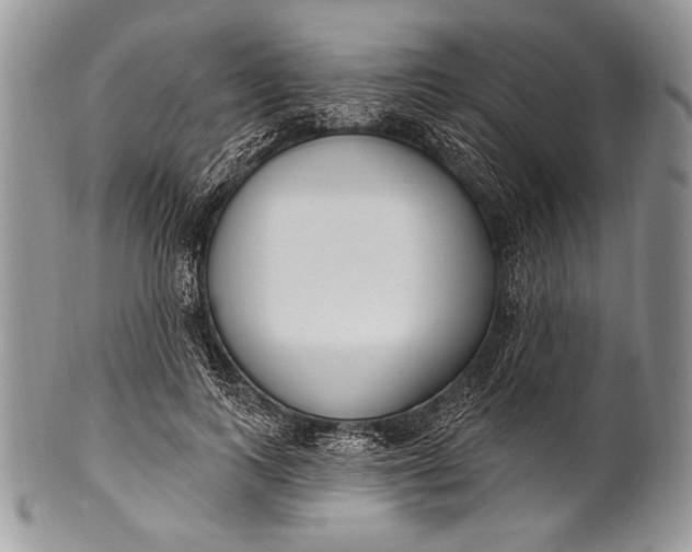 X0000100360743200806201604