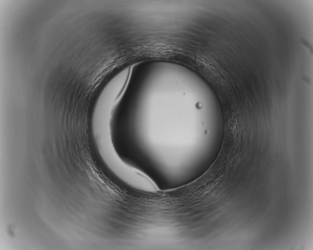 X0000100360744200806201604