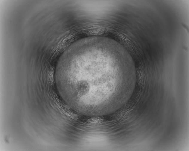 X0000100360745200806201604