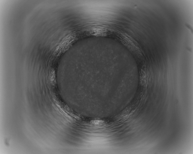 X0000100360748200806201604