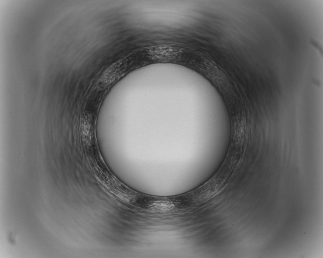 X0000100360749200806201604