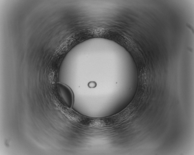 X0000100360750200806201604