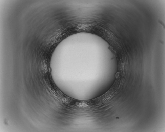 X0000100360751200806201604