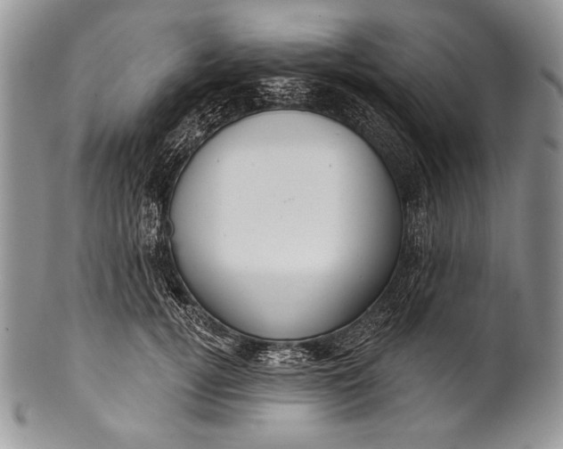 X0000100360752200806201604