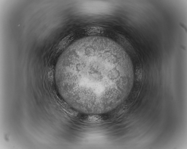 X0000100360753200806201604