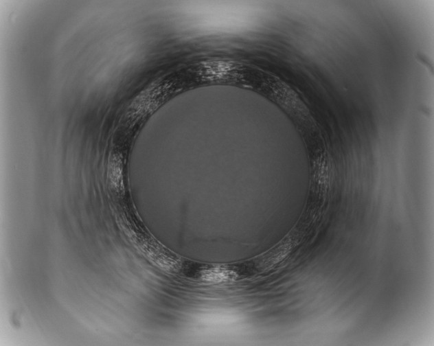 X0000100360754200806201604