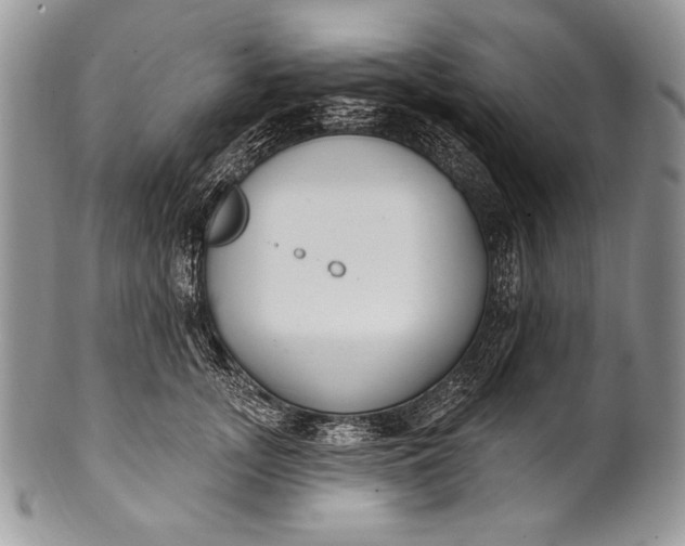 X0000100360755200806201604