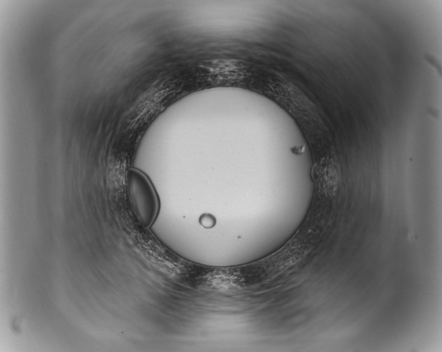 X0000100360756200806201604