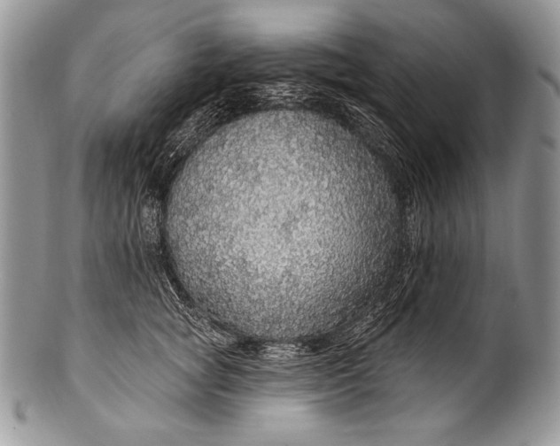 X0000100360757200806201604