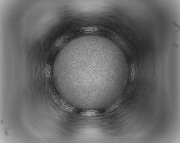 X0000100360758200806201604