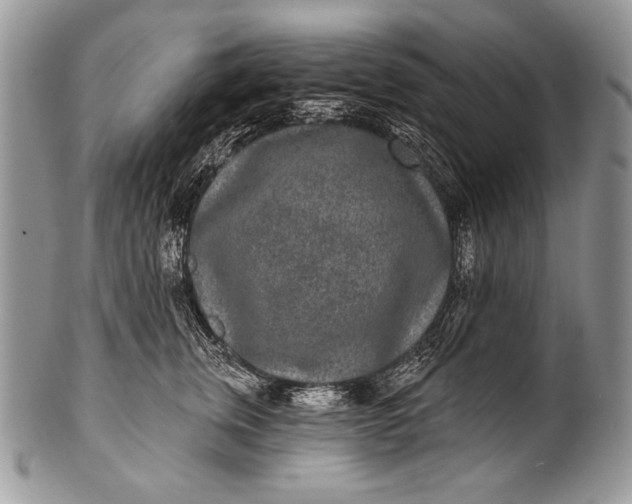 X0000100360759200806201604