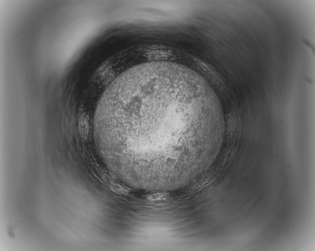 X0000100360761200806201604