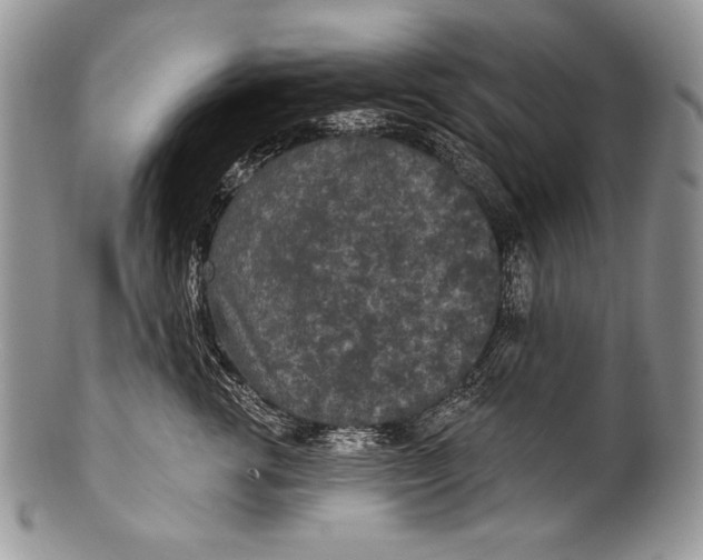 X0000100360762200806201604