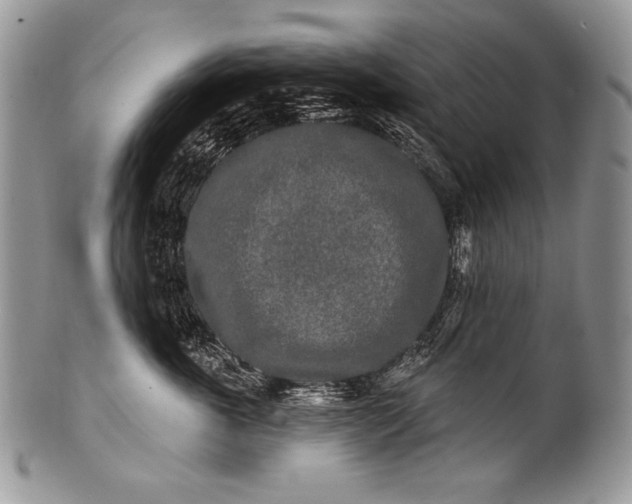 X0000100360763200806201604