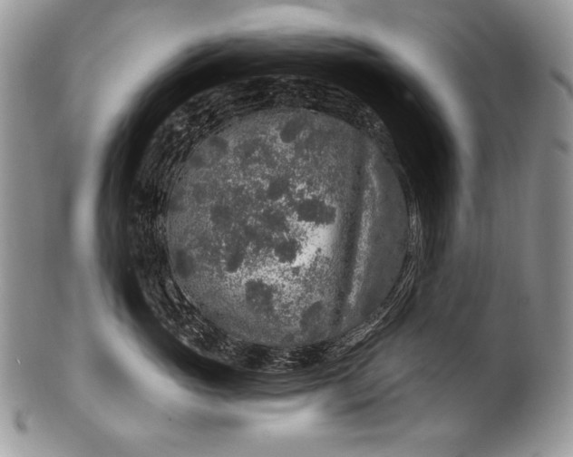 X0000100360765200806201604