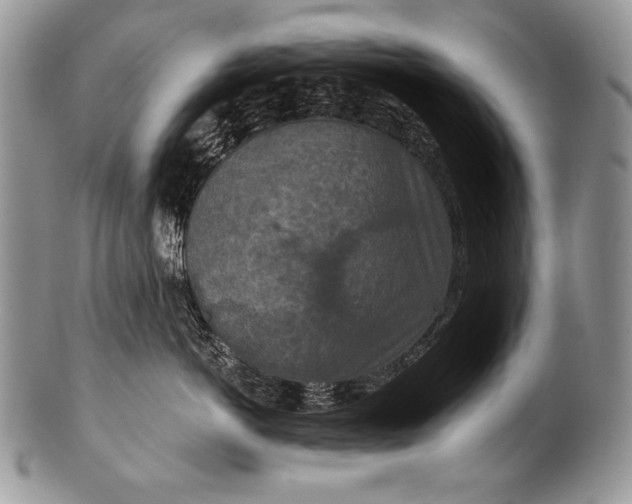 X0000100360766200806201604