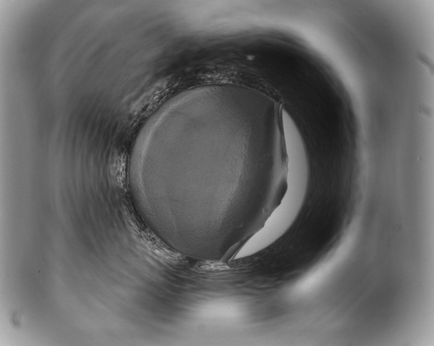 X0000100360767200806201604