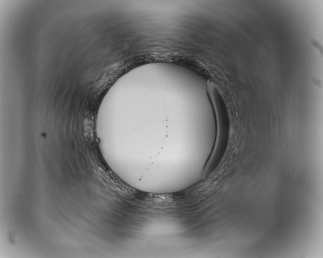 X0000100360768200806201604