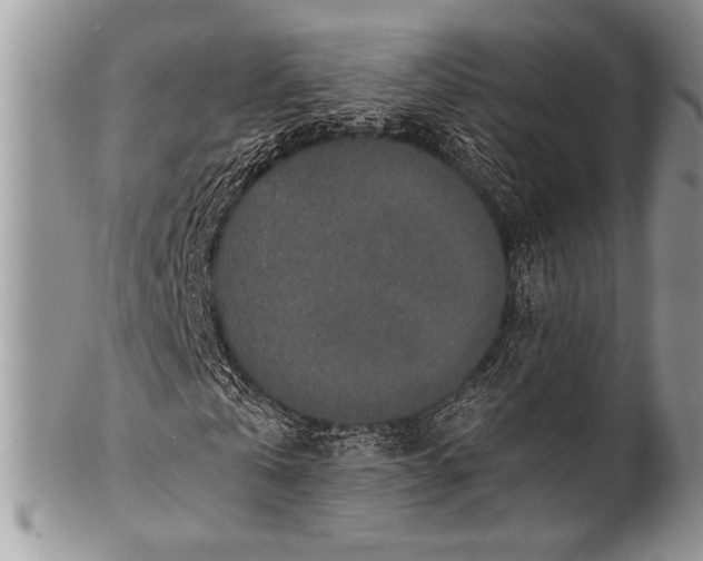 X0000100360769200806201604